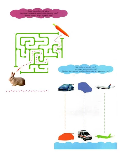 Çizgi Çizgi Etkinlik Hayvanlar ve Taşıtlar 2li Set - Resim 2