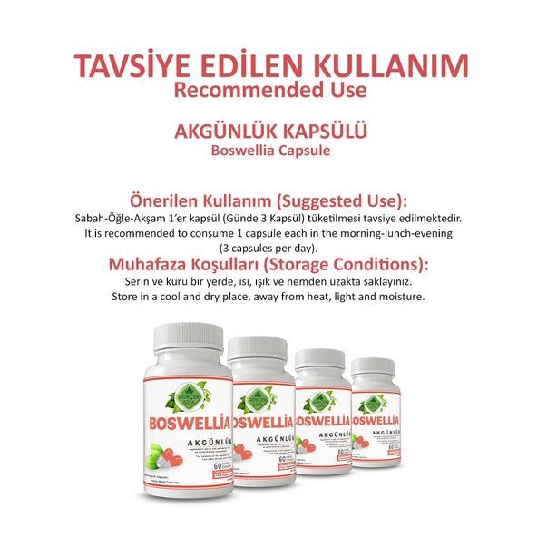 Akgünlük Kapsül (Boswellia Capsule)  60 Adet - 4