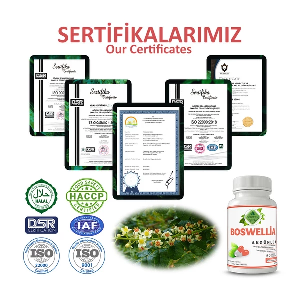 Akgünlük Kapsül (Boswellia Capsule)  60 Adet - 5