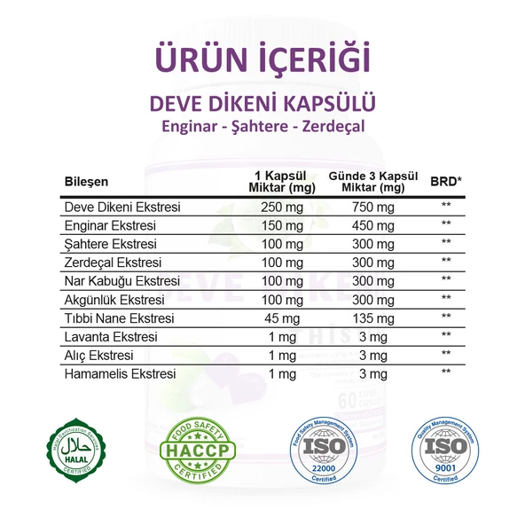 Deve Dikeni Kapsül (MİLK THİSTLE CAPSULE) 60 Adet - Resim 3