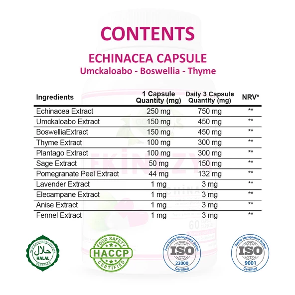 Ekinezya Kapsül (Echinacea Capsule) 60 Adet - Resim 2
