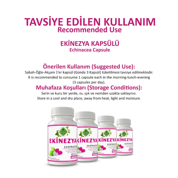 Ekinezya Kapsül (Echinacea Capsule) 60 Adet - Resim 4