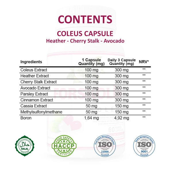Forskolin Kapsül (COLEUS CAPSULE) 60 Adet - 2