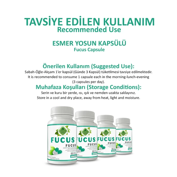 Fucus Kapsül (FUCUS CAPSULE) 60 Adet - Resim 4