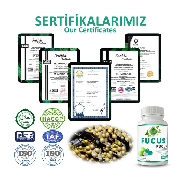 Fucus Kapsül (FUCUS CAPSULE) 60 Adet - Resim 5