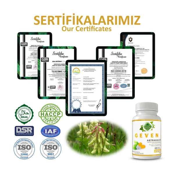 Geven Kapsül (ASTRAGALUS CAPSULE) 60 Adet - Resim 5