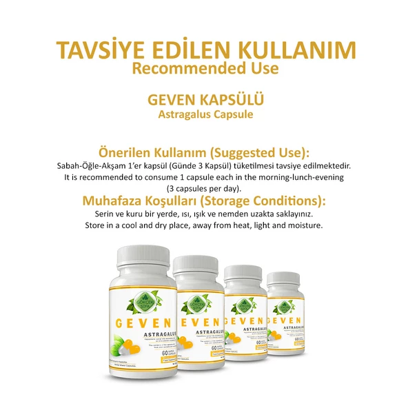 Geven Kapsül (ASTRAGALUS CAPSULE) 60 Adet - Resim 4