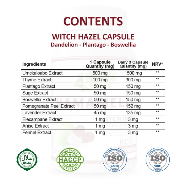 Hamamelis Kapsül (WİTCH HAZEL CAPSULE) 60 Adet - Resim 2
