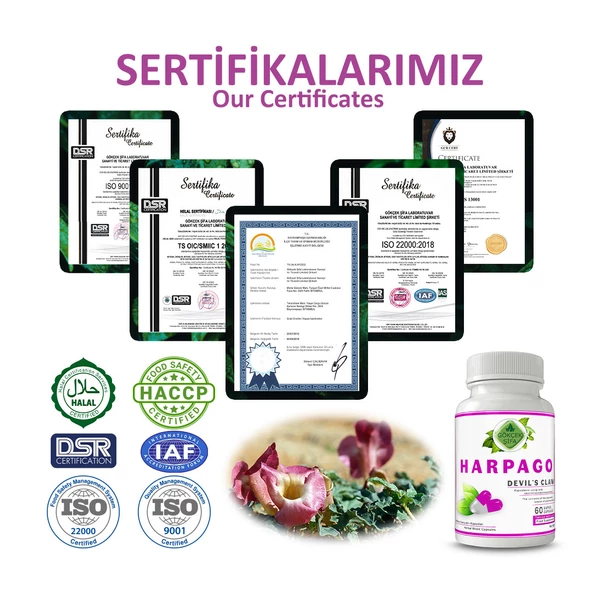 Harpago Kapsül (DEVİL'S CLAW CAPSULE) 60 Adet - Resim 5