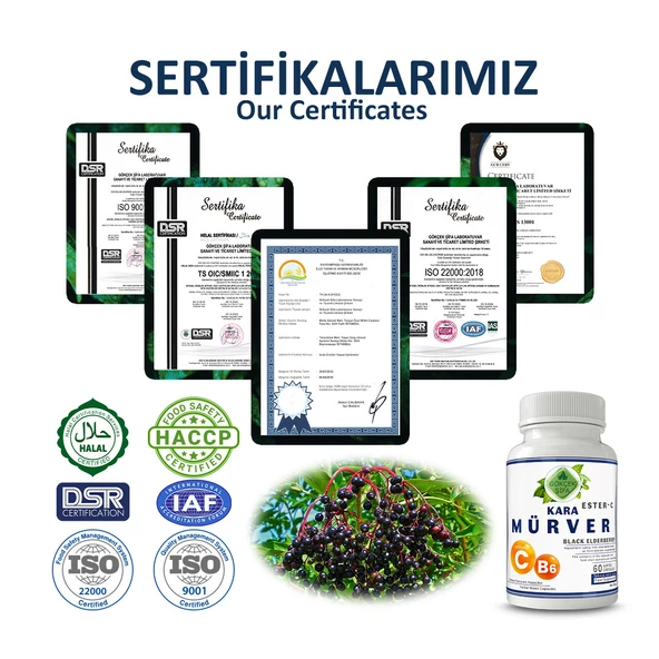 Kara Mürver Kapsül (Black Elderberry Capsule)  60 Adet - Resim 5