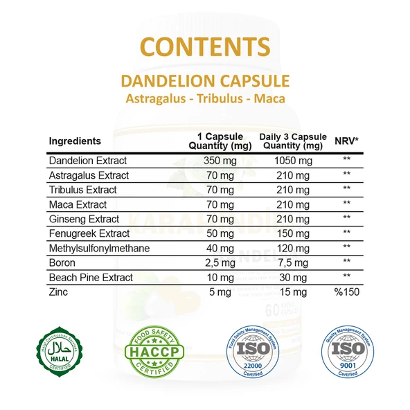 Karahindiba Kapsül (Dandelion Capsule)  60 Adet - Resim 2