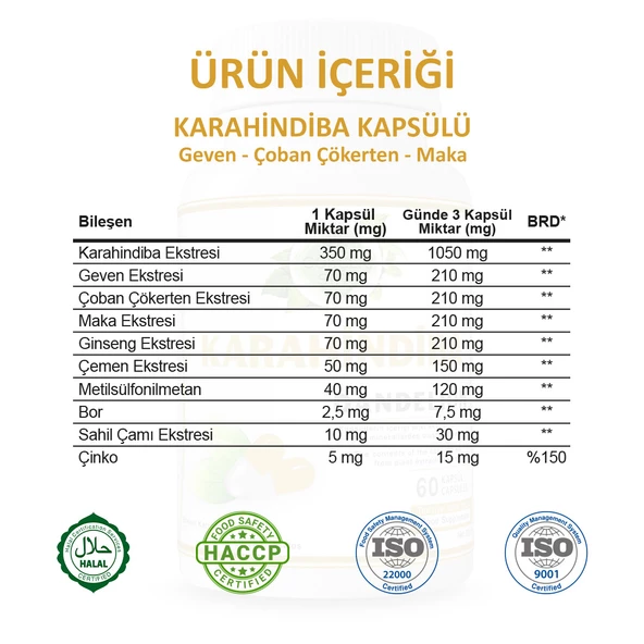 Karahindiba Kapsül (Dandelion Capsule)  60 Adet - Resim 3