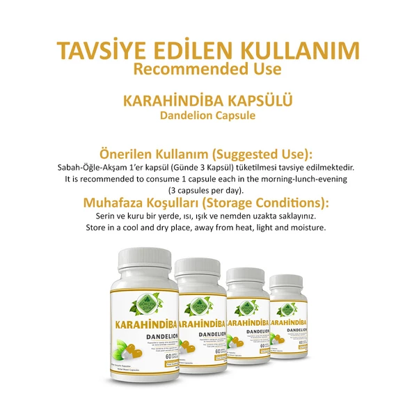 Karahindiba Kapsül (Dandelion Capsule)  60 Adet - Resim 4