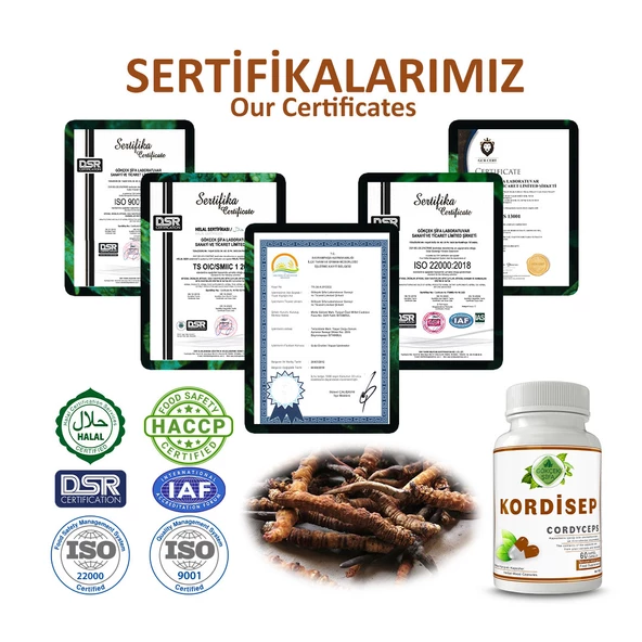 Kordisep Kapsül (CORDYCEPS CAPSULE) 60 Adet - Resim 5