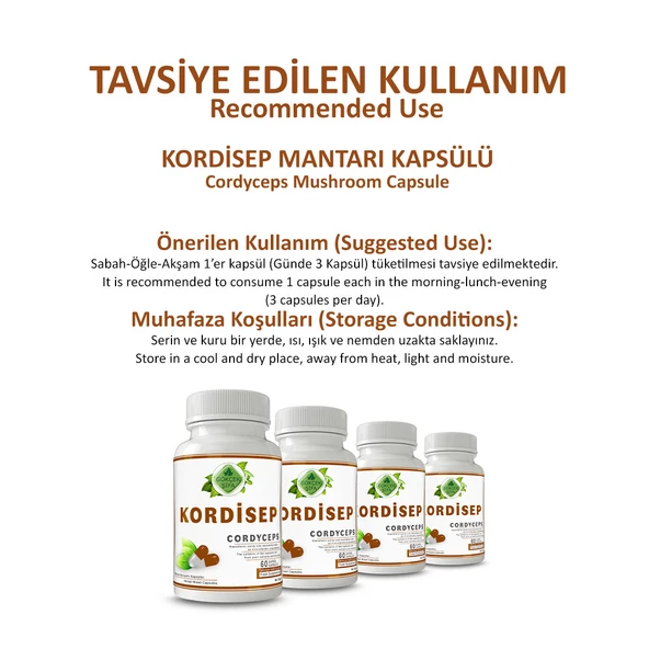 Kordisep Kapsül (CORDYCEPS CAPSULE) 60 Adet - Resim 4
