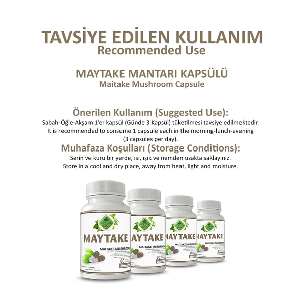 Maytake Kapsül (Maitake Capsule) 60 Adet - 4