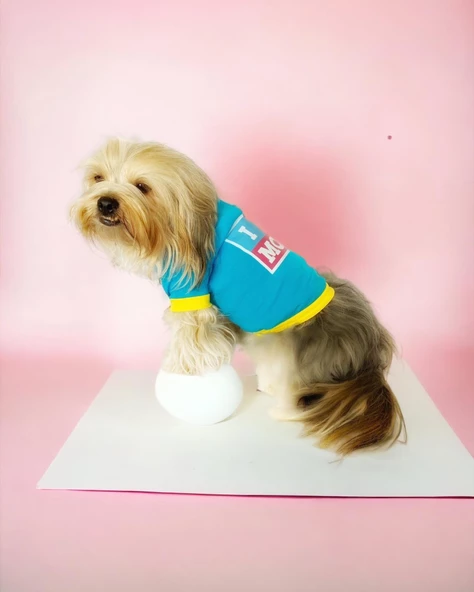 Hediye Paketli, Anneye Hediye, Love Mom Blue, Oval Yaka Tişört Köpek Kıyafeti,Elbisesi Anneler Günü, Anneye, Anne - 2