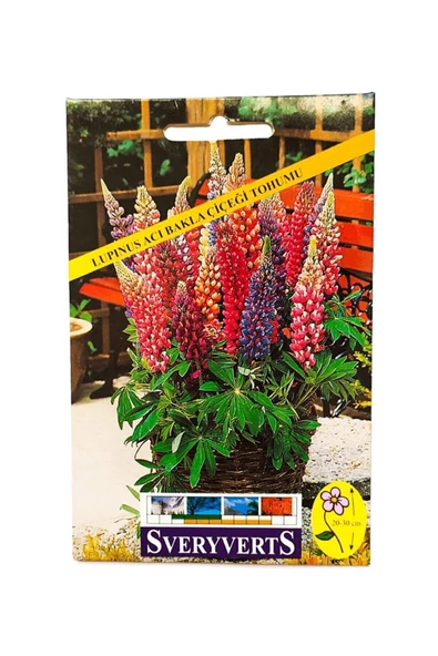 Lupinus Acı Bakla Çiçeği Tohumu