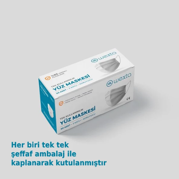 Wexta STL3PLY Melt Blown Ambalajlı Koruyucu Yüz Maskesi 50'li