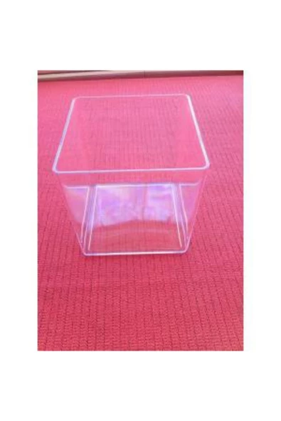 Betta, Karides, Japon Balığı - Mika Fanusu 2.8 Lt 15x15x15Cm - 3