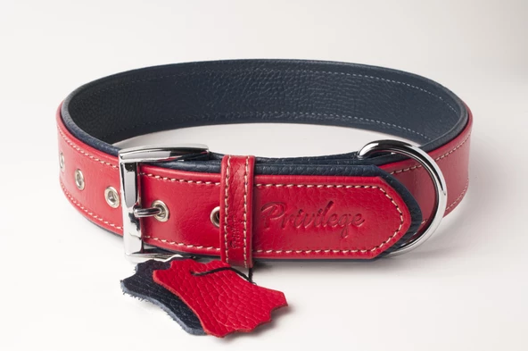 Privilege Flotter Hakiki Deri Köpek Boyun Tasması XS Kırmızı Lacivert 2,5x29-37 cm
