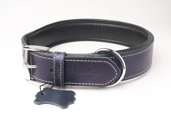 Privilege Hakiki Yağlı Deri Köpek Boyun Tasması XXS Lacivert 2x22-30 cm