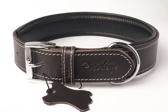 Privilege Hakiki Deri Köpek Boyun Tasması M Kahverengi 3x38-47 cm ürün görseli 1