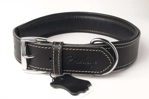 Privilege Hakiki Deri Köpek Boyun Tasması M Siyah 3x38-47 cm