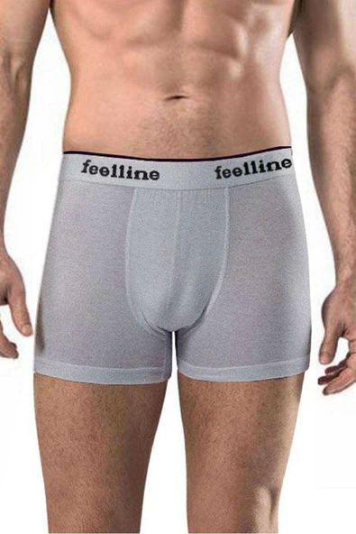 5 adet Feelline Gri Pamuklu Doğal Likralı Erkek Boxer - 2