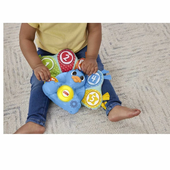 HNN82 Fisher-Price Linkimals - Rengarenk Tavus Kuşu - 6