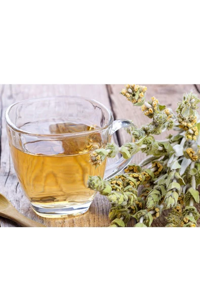 Organik Taze Dökme Adaçayı 250 Gr - Resim 2