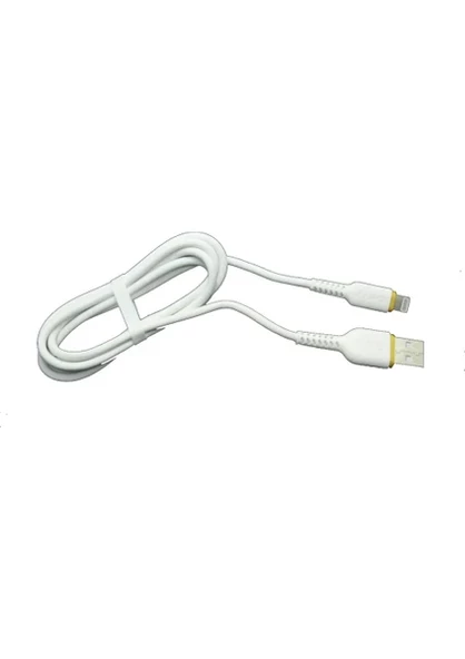iBerry Powerway TY01 Type C Kablo - 2