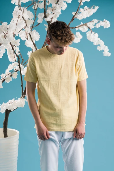 SLİMFİT PAMUKLU BİSİKLET YAKA LİKRALI KISA KOL ERKEK TRİKO YAZLIK T-SHİRT - 8