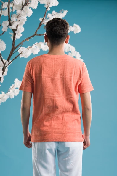 SLİMFİT PAMUKLU BİSİKLET YAKA LİKRALI KISA KOL ERKEK TRİKO YAZLIK T-SHİRT - 4