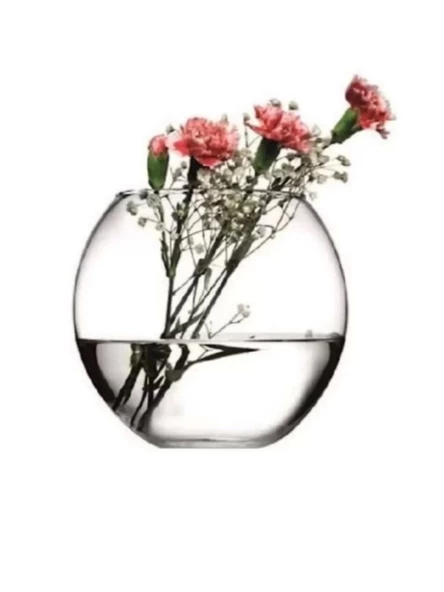 Paşabahçe 45068 Sade Cam Fanus 16 Cm