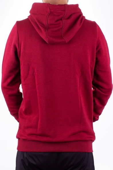 Twister 2732 Bordo Kapüşonlu Erkek Sweatshirt - 4