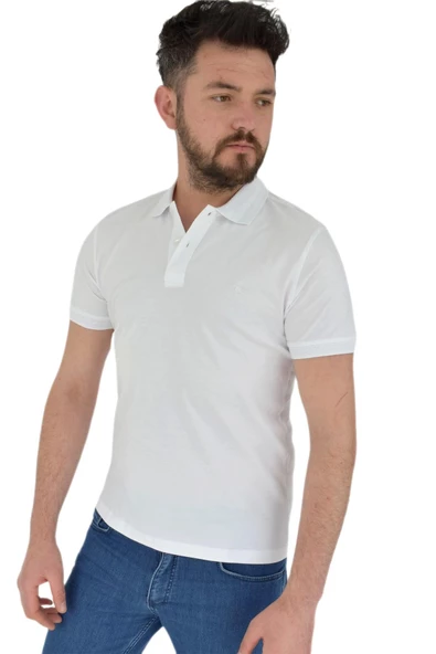 Erkek Polo Yaka Tişört R4080 BGL-ST02770 - Resim 2