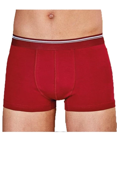 Berrak İç Giyim 1097 Pamuklu Likralı Boxer Külot Don 3 lü Paket - 7