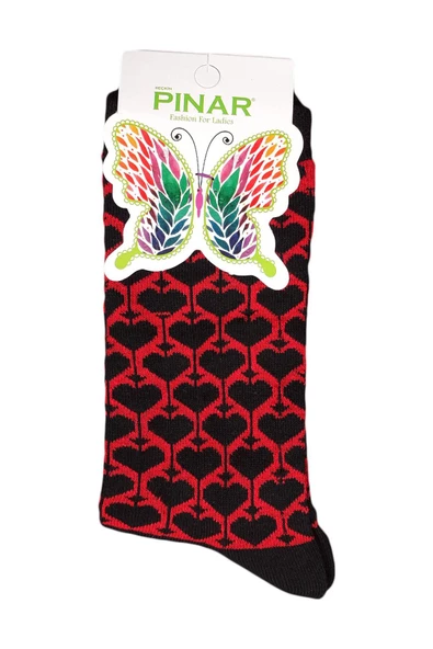 Pınar Kadın Uzun Soket Ekonomik Pamuklu Çorap 12li Paket - 4