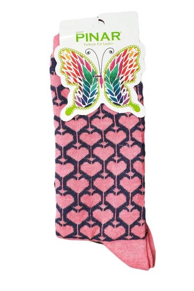 Pınar Kadın Uzun Soket Ekonomik Pamuklu Çorap 12li Paket - 5