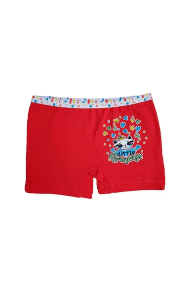 Dondeza 6lı Kız Çocuk Renkli Likralı Pamuklu Boxer Külot - 7