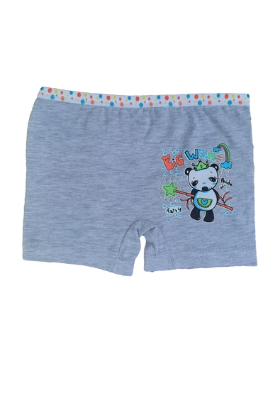 Dondeza 6lı Kız Çocuk Renkli Likralı Pamuklu Boxer Külot - 6