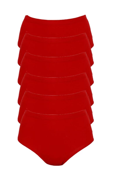 Tutku İç Giyim Kadın Yüksek Bel Bato Külot 6'lü Paket - 4