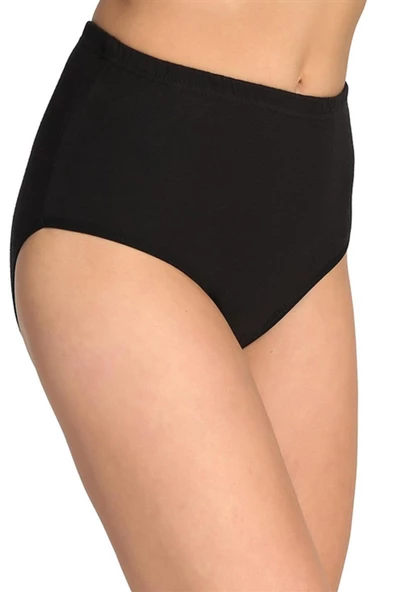 Tutku İç Giyim Kadın Yüksek Bel Bato Külot 6'lü Paket - 12