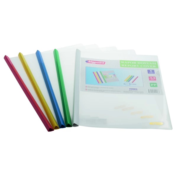 Bigpoint Sıkıştırmalı Rapor Dosyası 11mm - 5 Renk X 2 Adet - 2