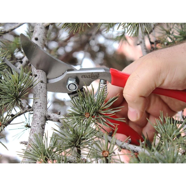 Evakat KT -1 Çelik Budama Makası - 6