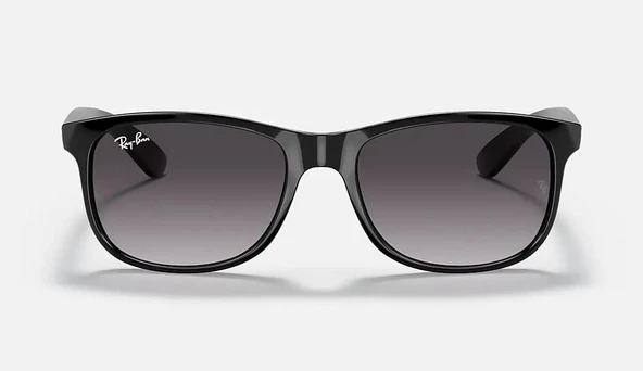 Ray-Ban 0RB4202 601/8G55 Erkek Güneş Gözlüğü - Resim 2