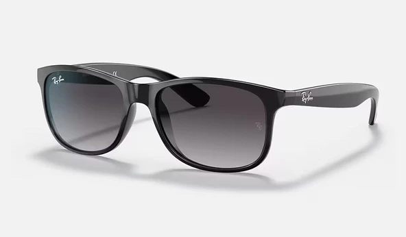 Ray-Ban 0RB4202 601/8G55 Erkek Güneş Gözlüğü