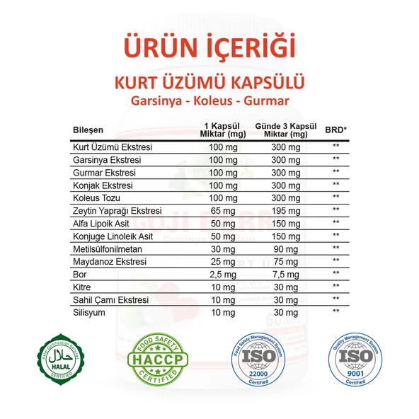 Gökçek Şifa Kurt Üzümü Kapsül (GOJİ BERRY CAPSULE) 60 Adet - Resim 3