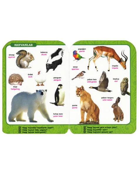 Hayvanlar İlk Bilgilerim Dizisi 0 6 Yaş Yayınları - Resim 2